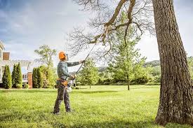 Best Weed Control  in Fox Lake, WI